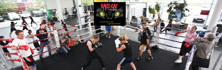 Promiboxen